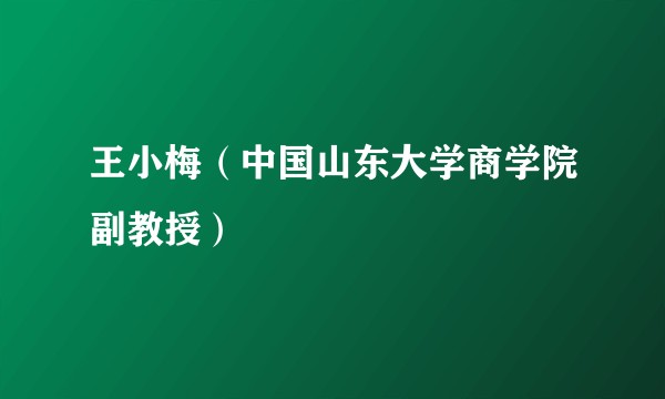 王小梅（中国山东大学商学院副教授）