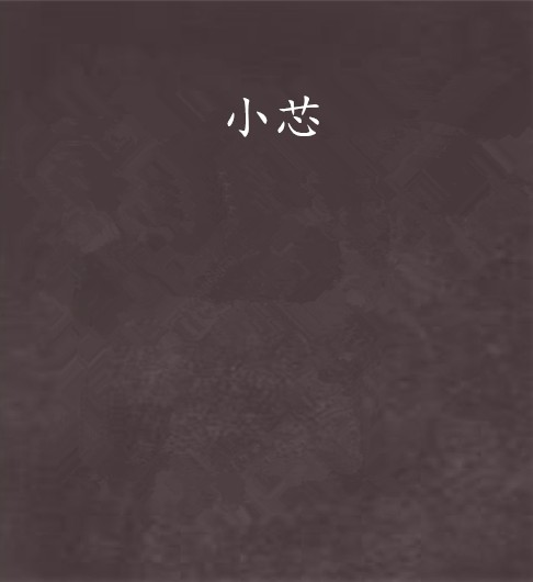 小芯（网络小说作家）