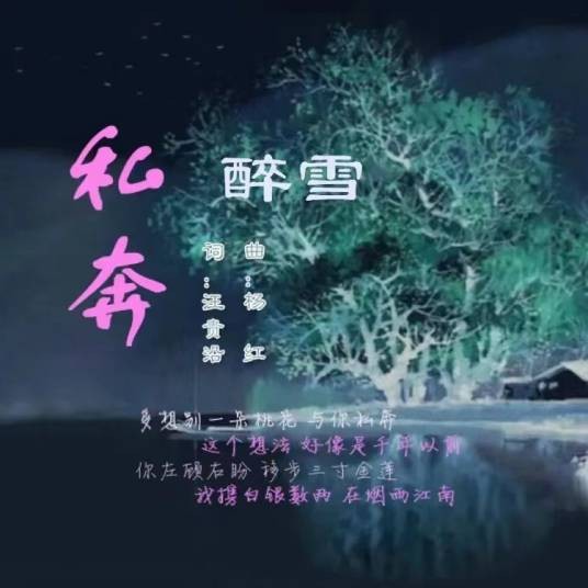 私奔（2020年杨红作曲的歌曲）