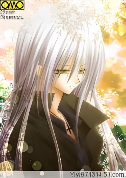 鹦鹉女神之赤夜
