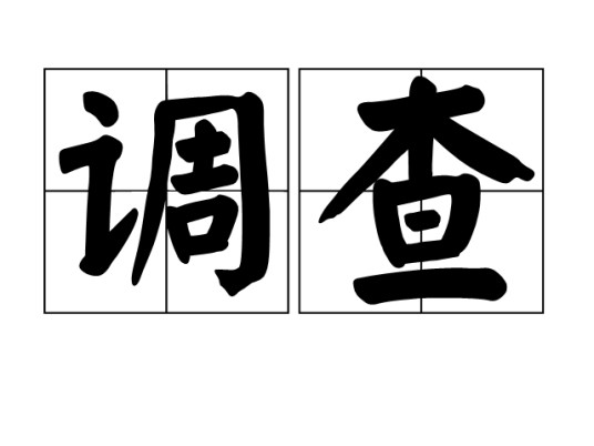 调查（汉语词语）