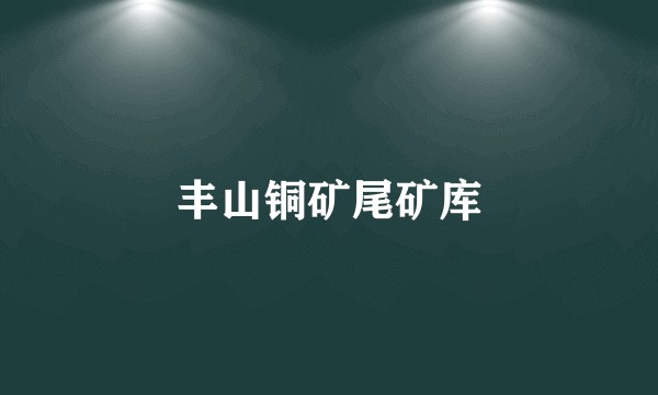 丰山铜矿尾矿库