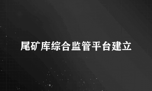 尾矿库综合监管平台建立