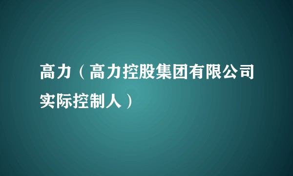 高力(高力控股集团有限公司实际控制人)