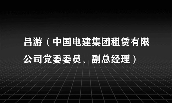 吕游（中国电建集团租赁有限公司党委委员、副总经理）