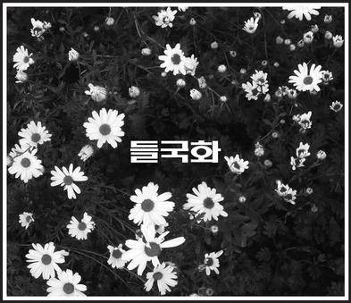 你不要担心（2013年野菊花演唱歌曲）