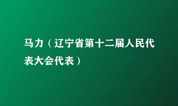 马力（辽宁省第十二届人民代表大会代表）