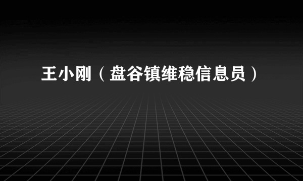 王小刚（盘谷镇维稳信息员）