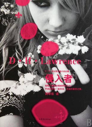 侵入者（2010年山东文艺出版社出版的图书）