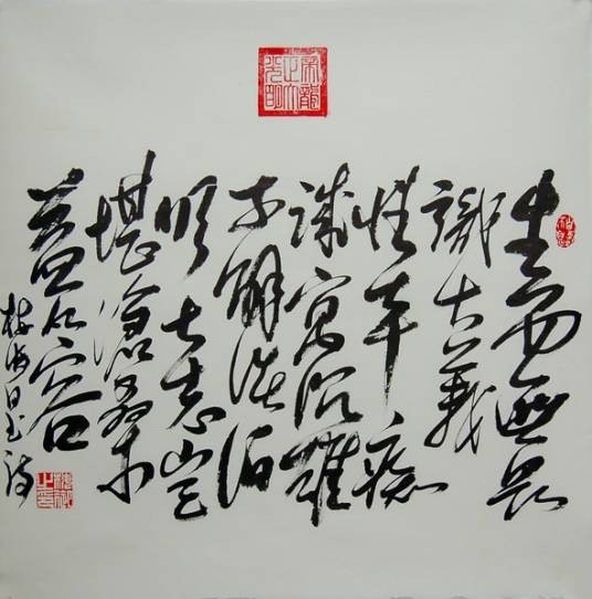 自诩