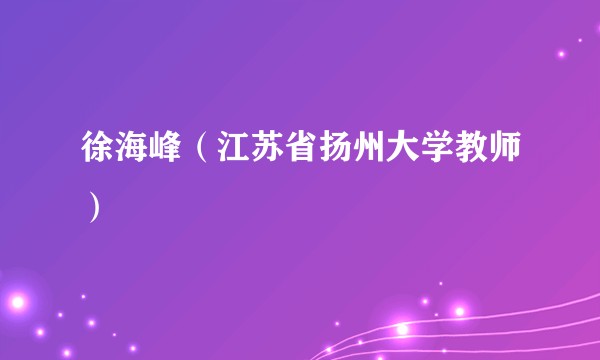 徐海峰（江苏省扬州大学教师）