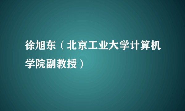 徐旭东(北京工业大学计算机学院副教授)
