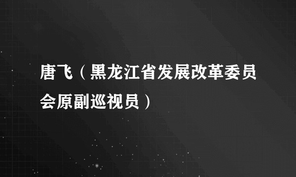 唐飞（黑龙江省发展改革委员会原副巡视员）