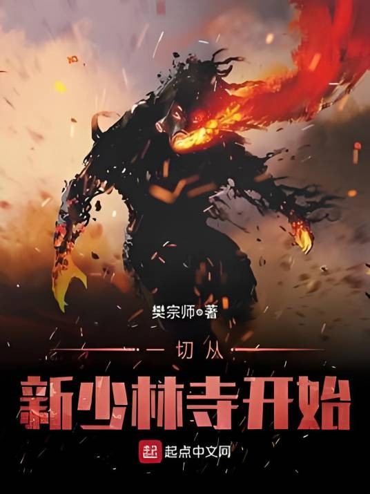 一切从新少林寺开始
