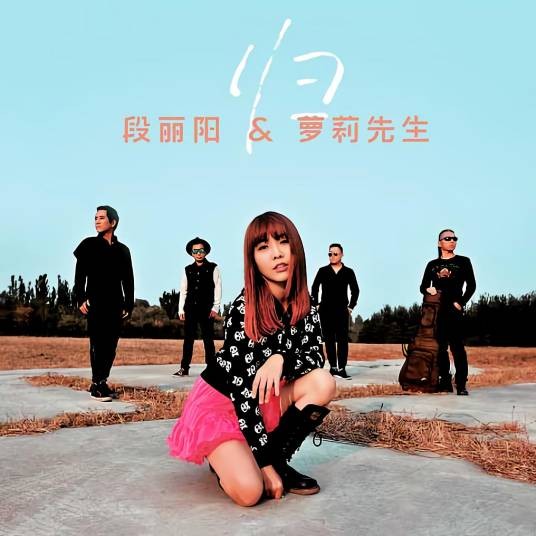 归（段丽阳演唱的民谣风格原创单曲）