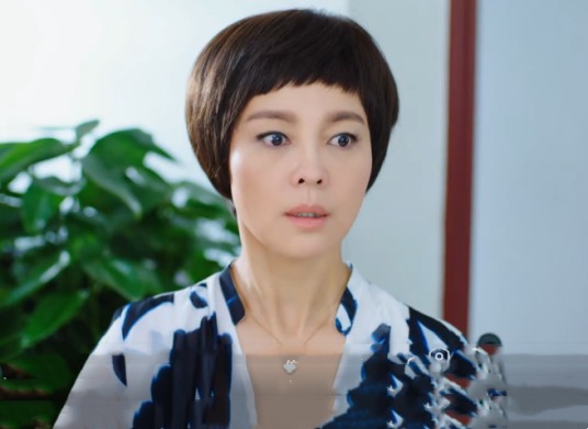 吴丽华（悬疑剧《家庭秘密》中的角色）
