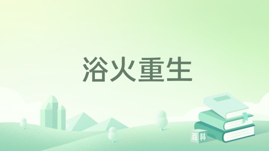 浴火重生（亦君山所著小说）