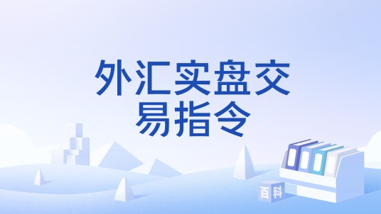 外汇实盘交易指令