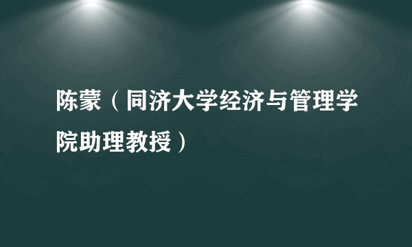 陈蒙（同济大学经济与管理学院助理教授）