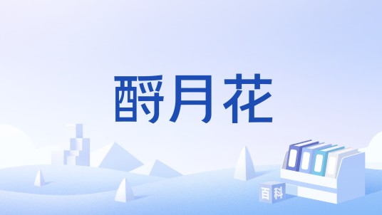 酹月花