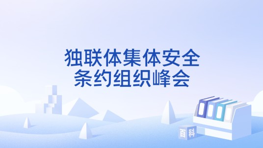 独联体集体安全条约组织峰会