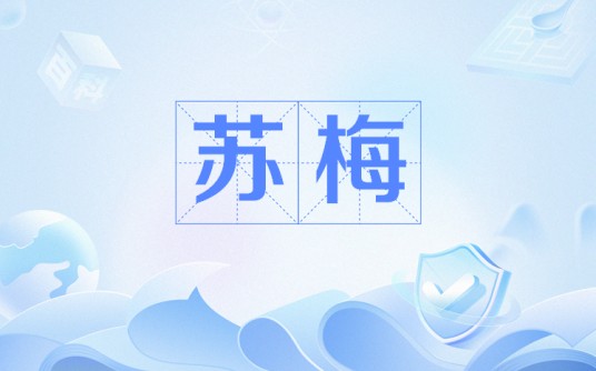 苏梅(网络用语)