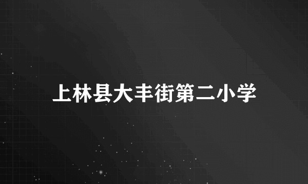 上林县大丰街第二小学