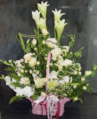 节哀