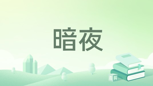 暗夜（蒋子龙创作的短篇小说）
