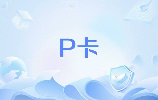 P卡（奥运会替补运动员持有证件）