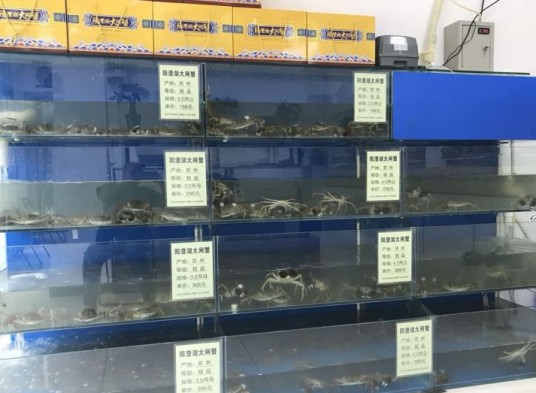 阳澄湖大闸蟹（西什库大街店）