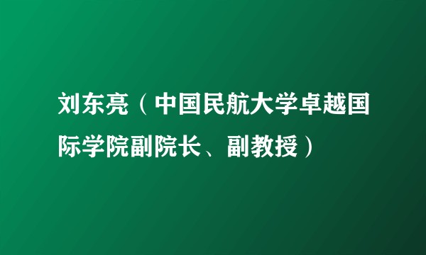刘东亮（中国民航大学卓越国际学院副院长、副教授）