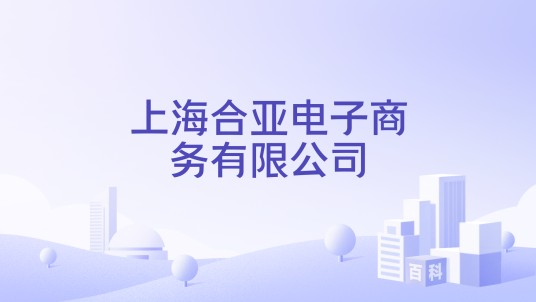 上海合亚电子商务有限公司
