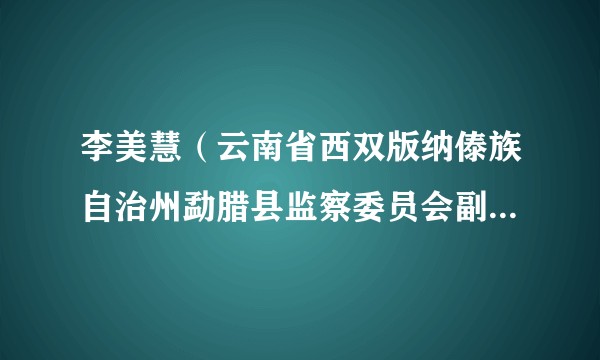 李美慧（云南省西双版纳傣族自治州勐腊县监察委员会副主任、代理主任）