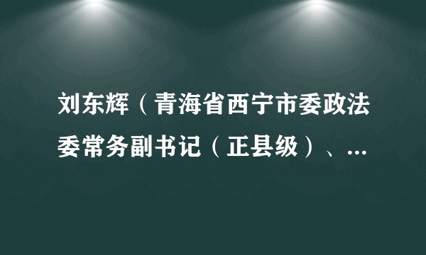 刘东辉（青海省西宁市委政法委常务副书记（正县级）、一级调研员）