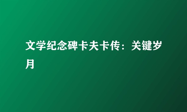 文学纪念碑卡夫卡传：关键岁月