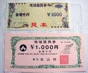 消费券