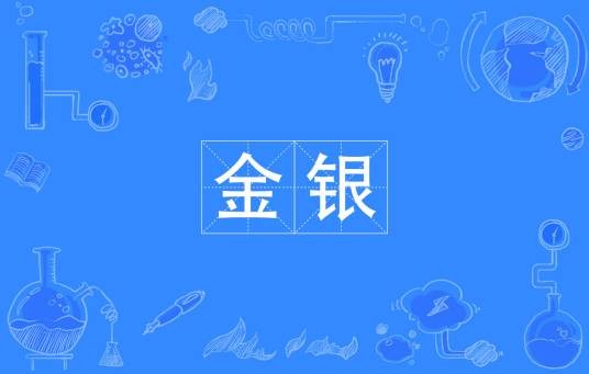 金银（汉语词汇）