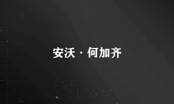 安沃·何加齐