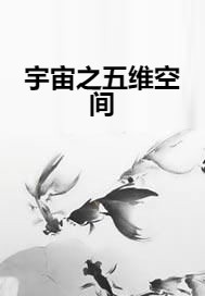 宇宙之五维空间