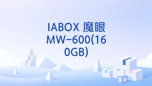 IABOX 魔眼MW-600(160GB)