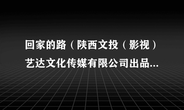 回家的路（陕西文投（影视）艺达文化传媒有限公司出品的都市剧）