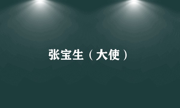 张宝生(大使)