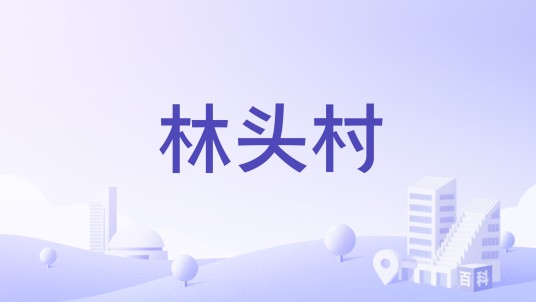 林头村（浙江省金华市东阳市歌山镇下辖村）