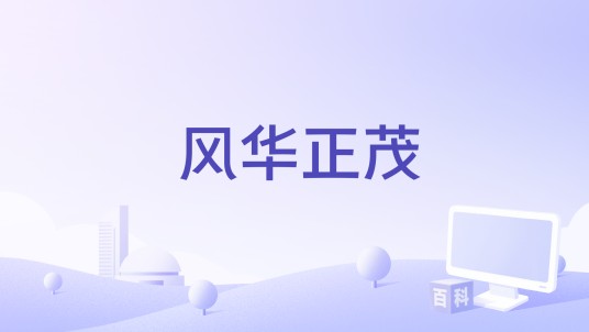 风华正茂（莫涛源演唱的歌曲）