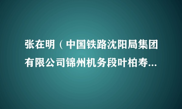 张在明（中国铁路沈阳局集团有限公司锦州机务段叶柏寿运用车间机车司机）