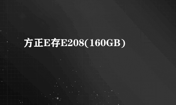 方正E存E208(160GB)