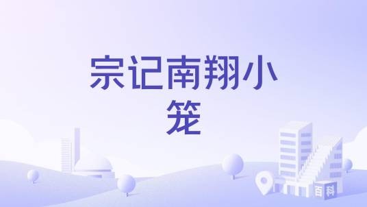 宗记南翔小笼