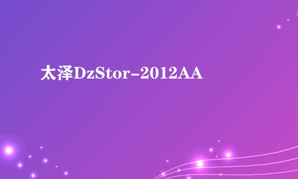 太泽DzStor-2012AA