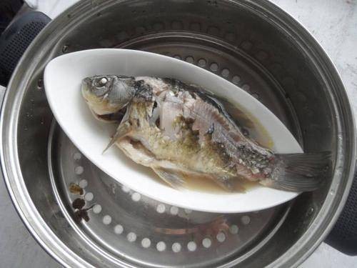 砂仁炖鲫鱼